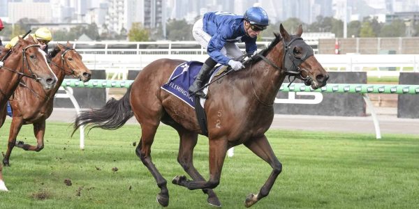 I'mateez ridden by Daniel Stackhouse wins the Rod Johnson Handicap at Flemington Racecourse on June 20, 2026 in Flemington, Australia. (Photo by Brett Holburt/Racing Photos via Getty Images)