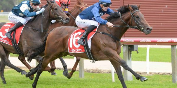 Firerated ridden by Koby Jennings wins the Purcell Painting 3YO Maiden Plate at Moe Racecourse on December 14, 2025 in Moe, Australia. (Photo by Ross Holburt/Racing Photos via Getty Images)