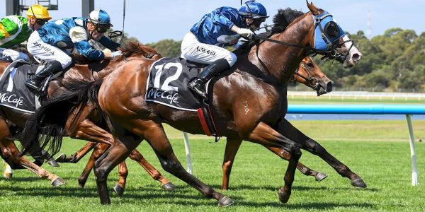 Lofty Strike ridden by Craig Newitt wins the McCaf? Rubiton Stakes  at Ladbrokes Park Hillside Racecourse on February 11, 2023 in Springvale, Australia. (Photo by Pat Scala/Racing Photos)