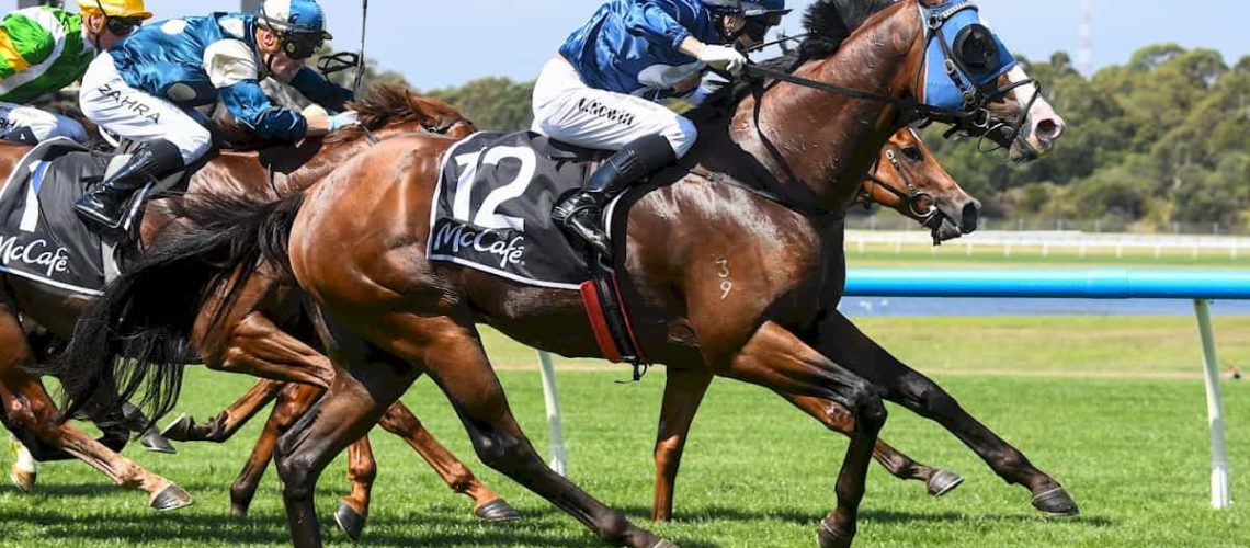 Lofty Strike ridden by Craig Newitt wins the McCaf? Rubiton Stakes  at Ladbrokes Park Hillside Racecourse on February 11, 2023 in Springvale, Australia. (Photo by Pat Scala/Racing Photos)